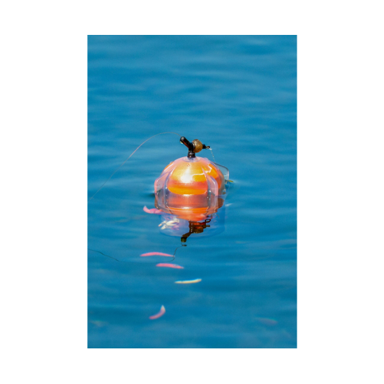 Cosulet Plutitor Korum Floating Window Combi Feeder - Fluoro Top, 4g Cosulet Plutitor Korum Floating Window Combi Feeder - Fluoro Top, 4g